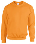 GD056_SafetyOrange_FT.jpg