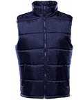 TS015_Navy_FT.jpg
