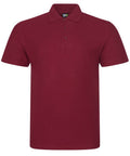 RX101_Burgundy_FT.jpg